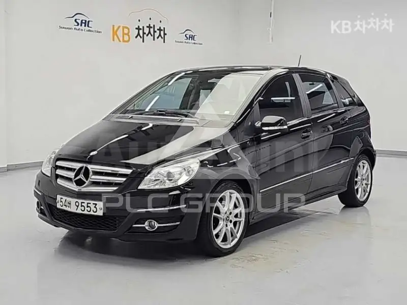2010 Mercedes Benz B-Class