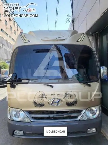 2011 Hyundai Country