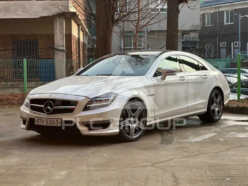2013 Mercedes Benz CLS-Class