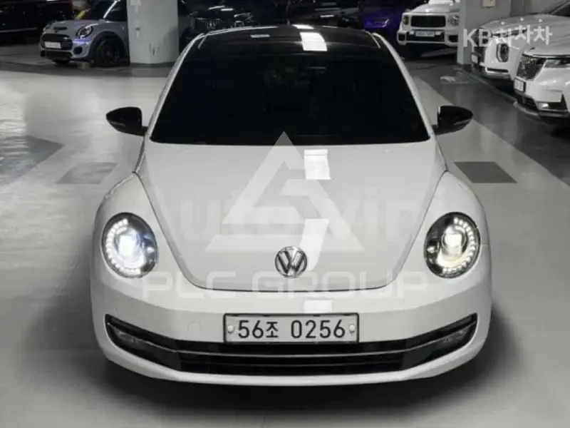 2013 Volkswagen BEETLE