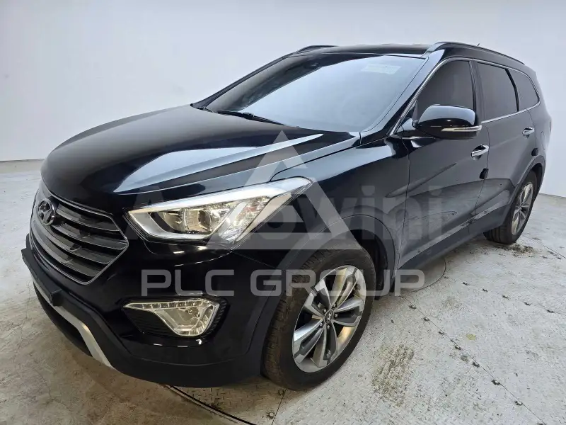 2014 Hyundai Maxcruz