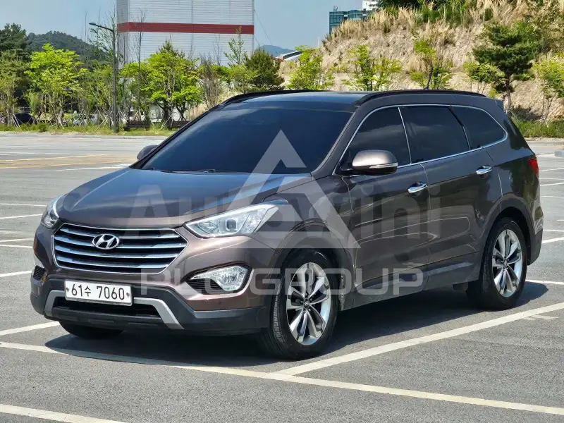 2014 Hyundai Maxcruz