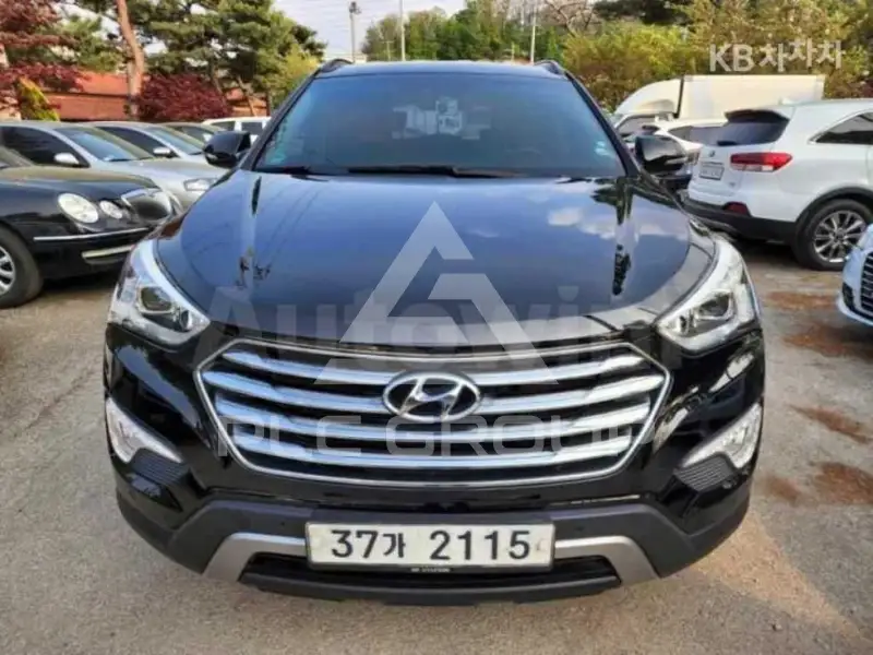 2014 Hyundai Maxcruz