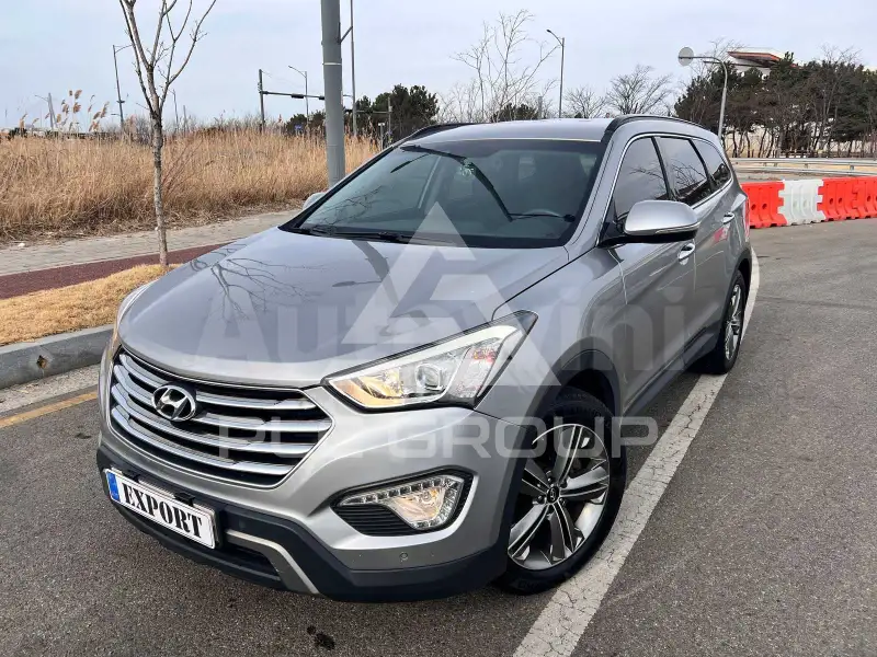 2014 Hyundai Maxcruz