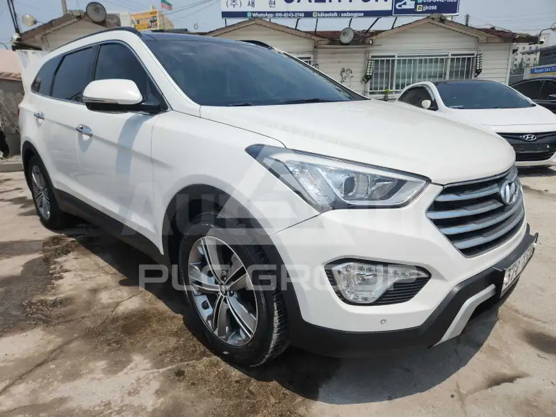 2014 Hyundai Maxcruz