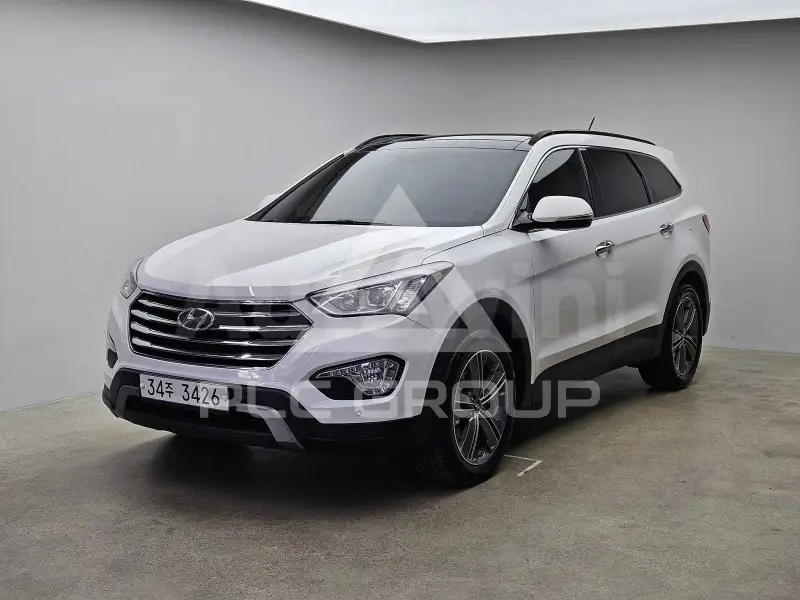 2014 Hyundai Maxcruz