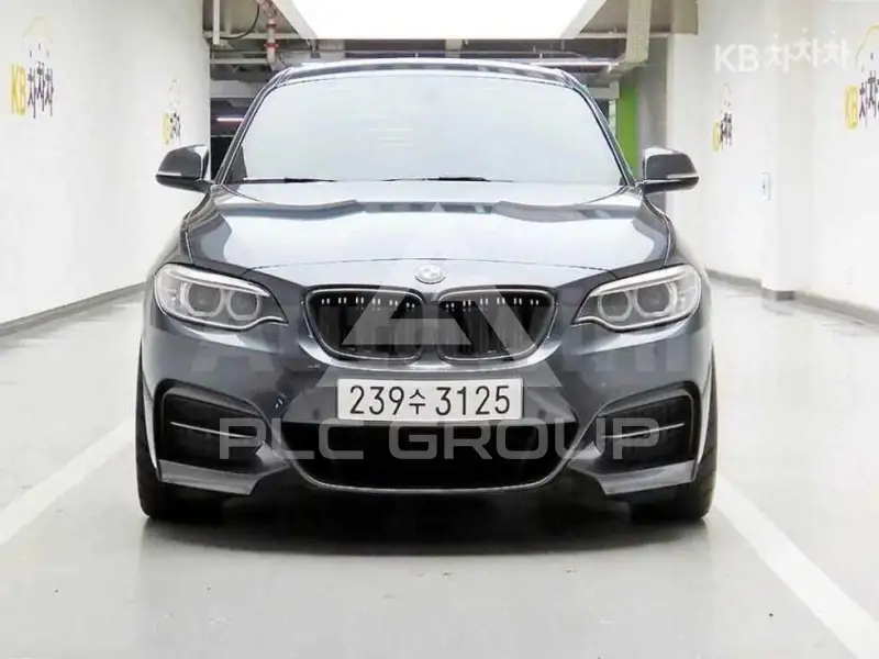 2015 BMW 218