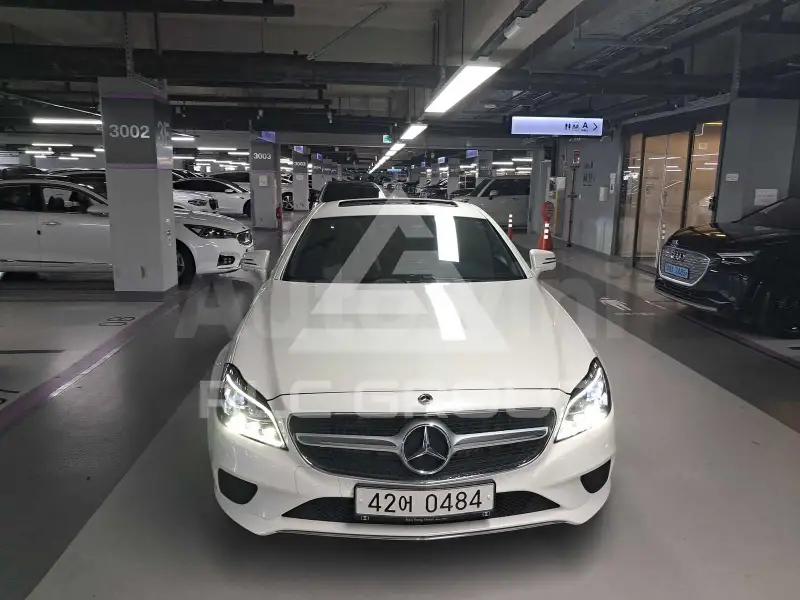 2016 Mercedes Benz CLS-Class