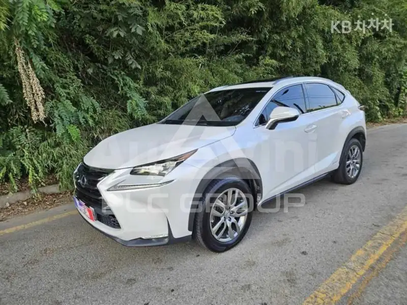 2017 Lexus NX
