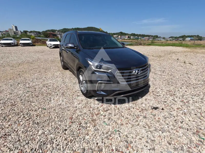 2017 Hyundai Maxcruz