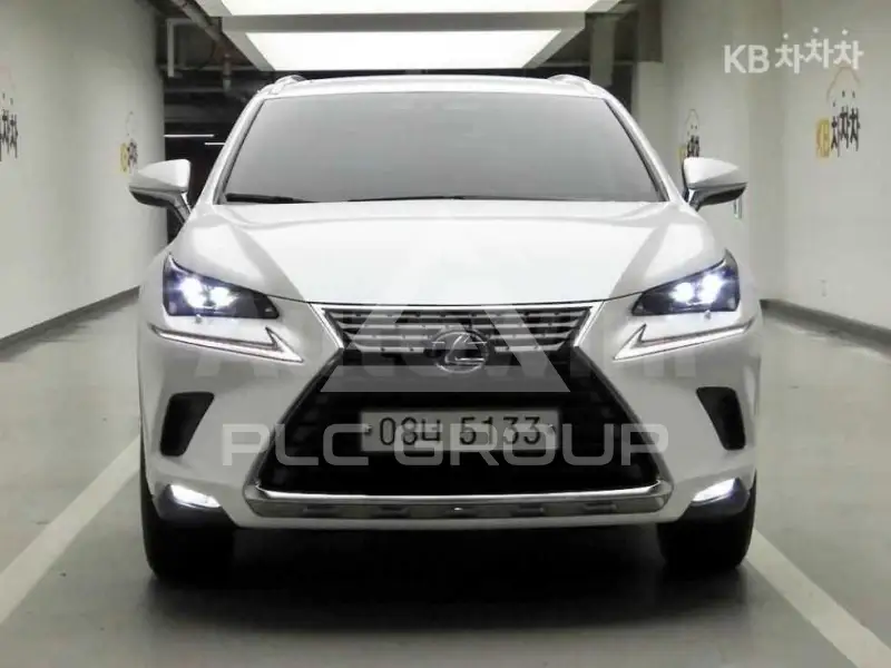 2018 Lexus NX