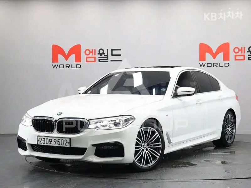 2019 BMW 523