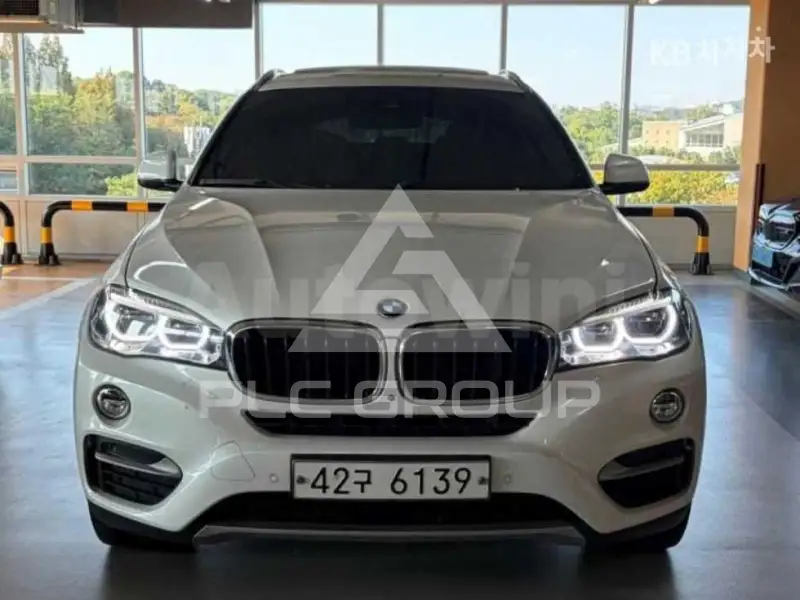 2019 BMW X6