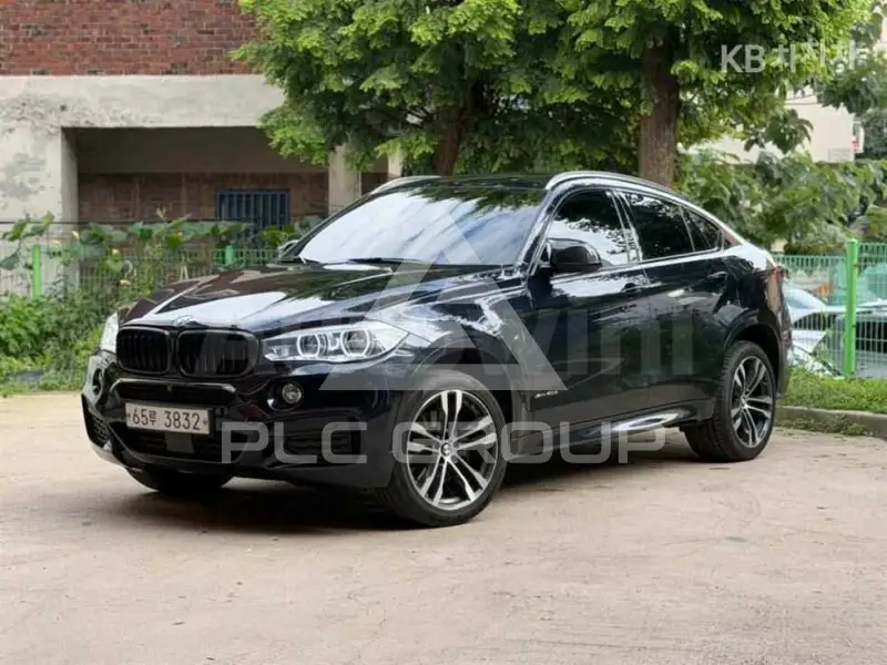2019 BMW X6