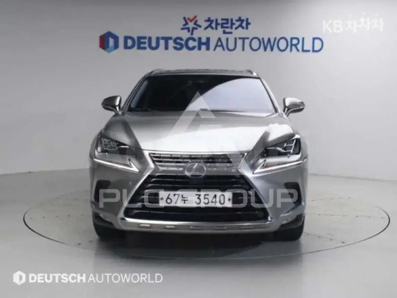 2019 Lexus NX