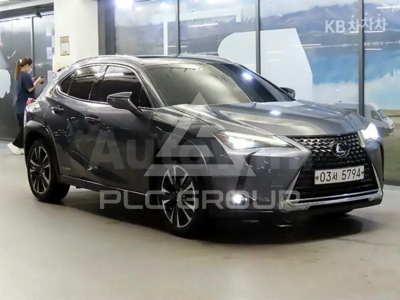 2019 Lexus UX