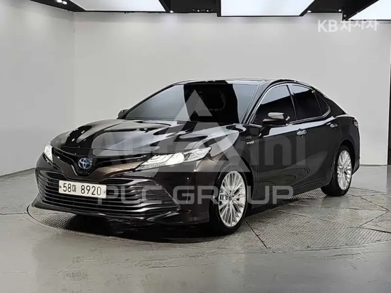 2019 Toyota CAMRY