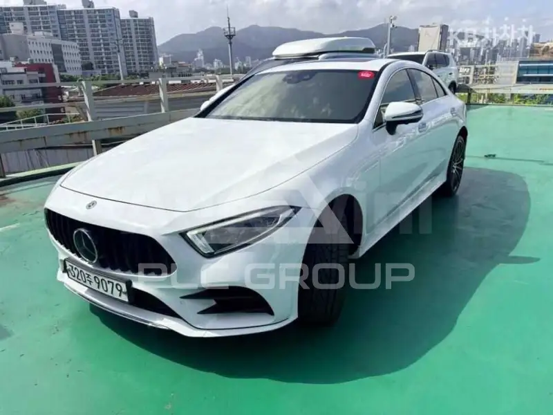 2019 Mercedes Benz CLS-Class