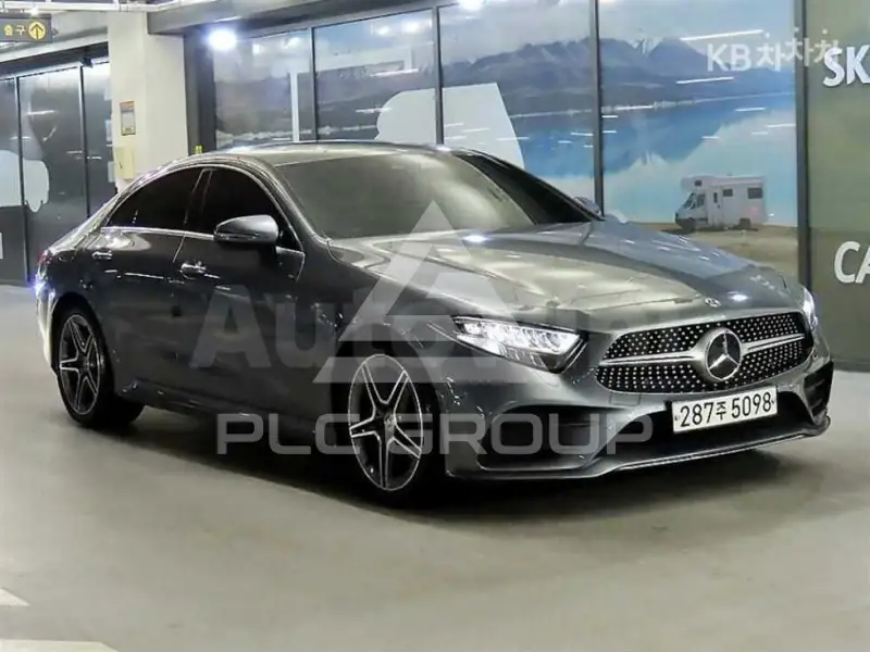 2019 Mercedes Benz CLS-Class