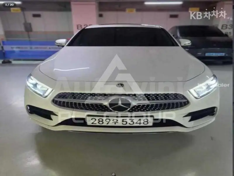 2019 Mercedes Benz CLS-Class