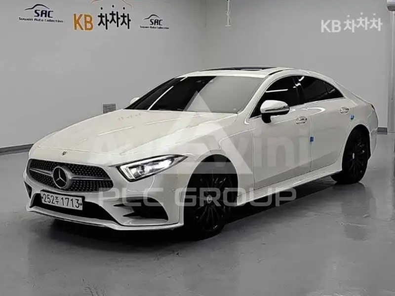 2019 Mercedes Benz CLS-Class