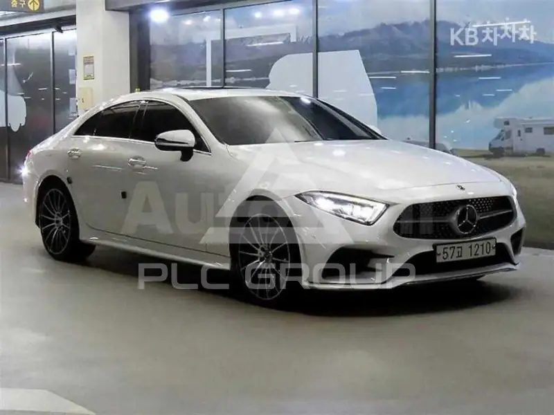2019 Mercedes Benz CLS-Class