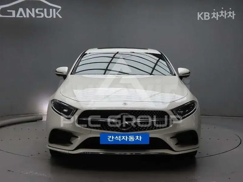 2019 Mercedes Benz CLS-Class