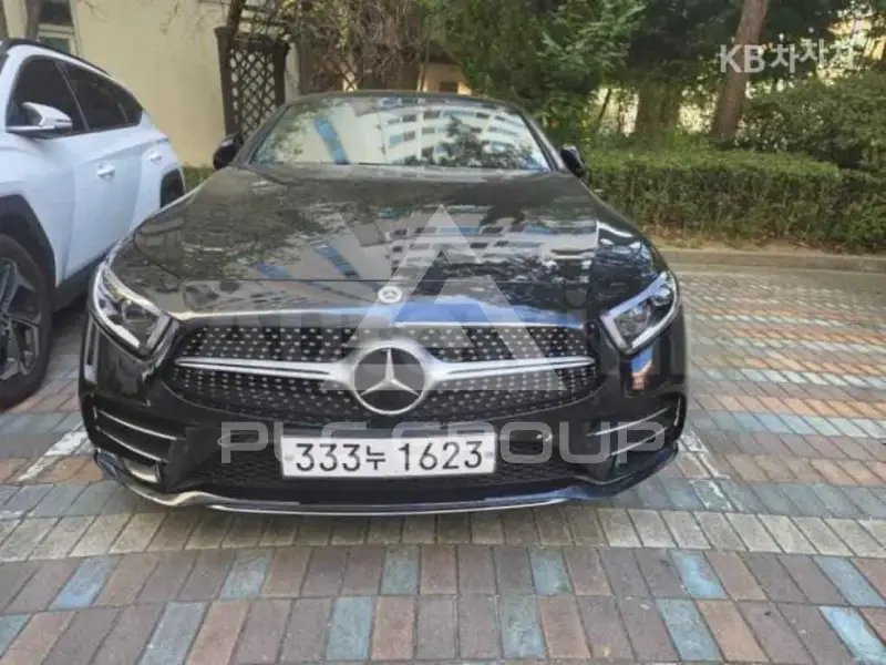 2019 Mercedes Benz CLS-Class