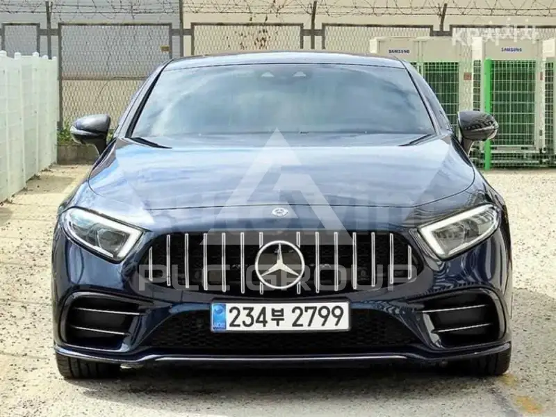 2019 Mercedes Benz CLS-Class