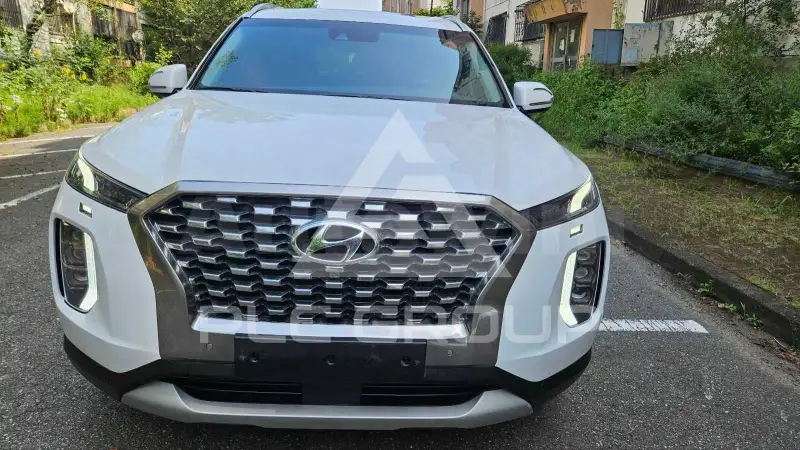 2019 Hyundai Palisade