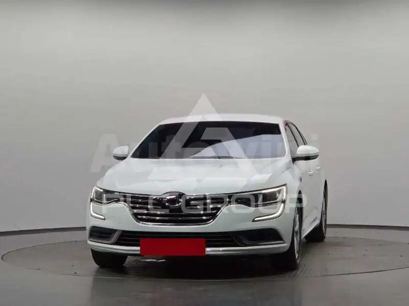2019 Renault Sm6