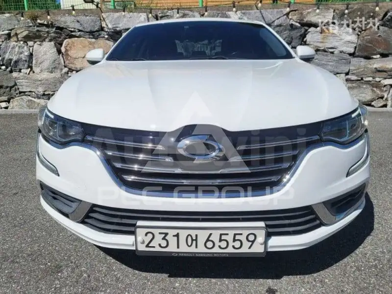 2019 Renault Sm6