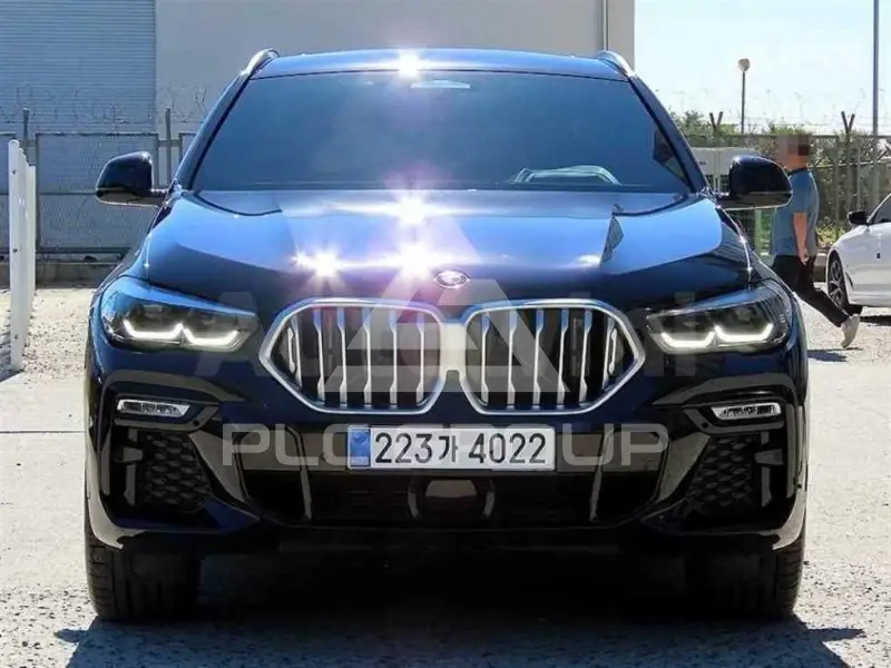 2020 BMW X6