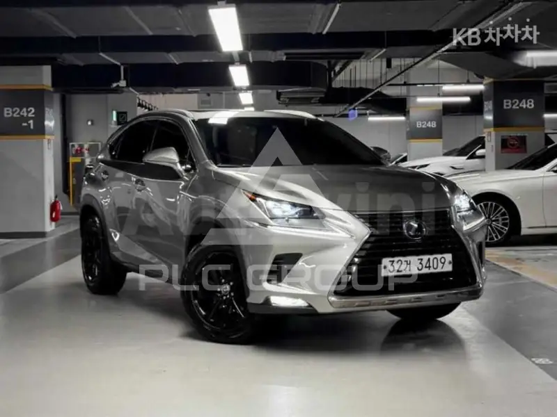 2020 Lexus NX