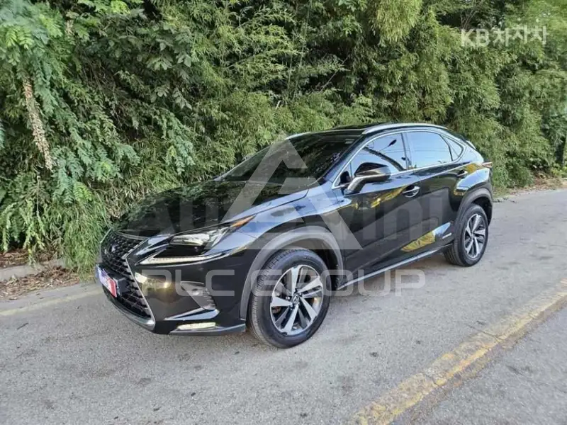 2020 Lexus NX