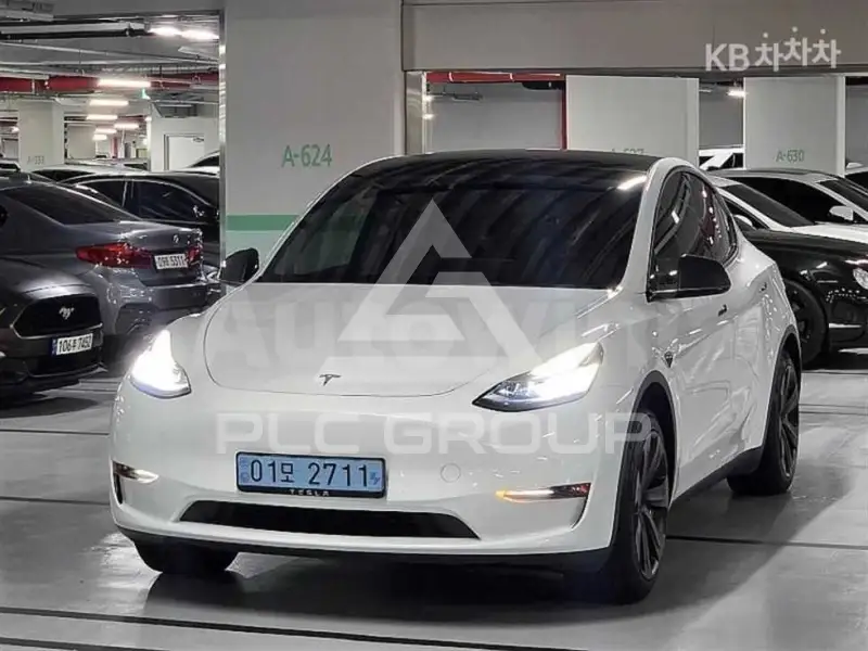 2021 Tesla Model Y