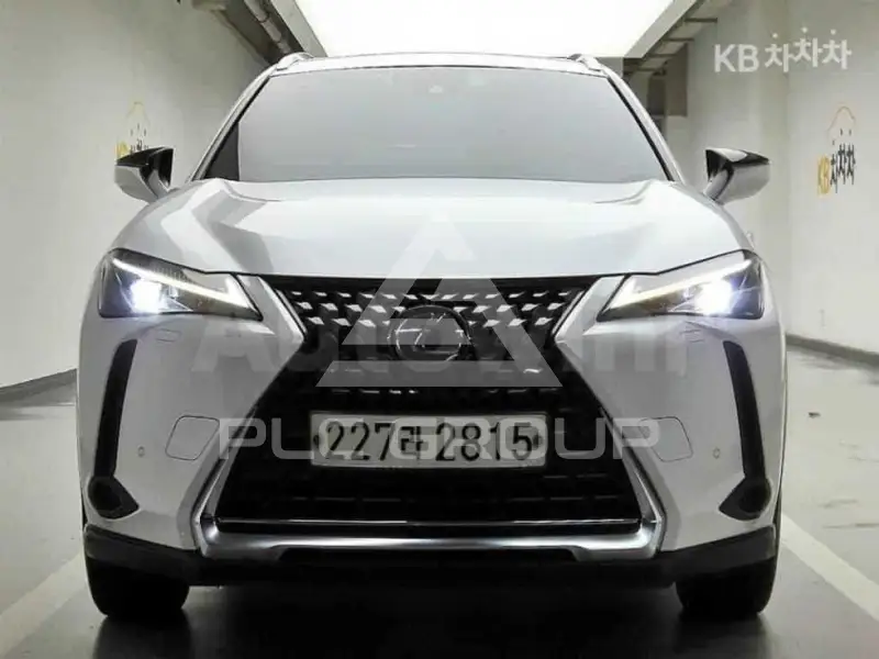 2021 Lexus UX
