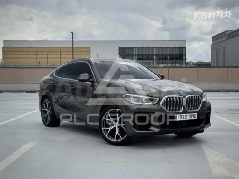 2023 BMW X6
