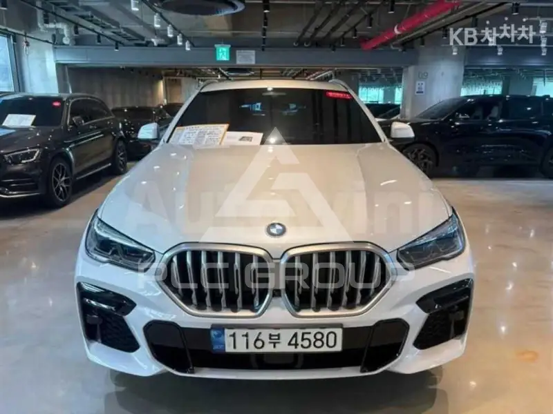 2023 BMW X6