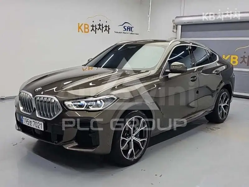 2023 BMW X6