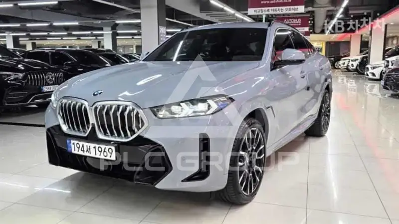 2024 BMW X6