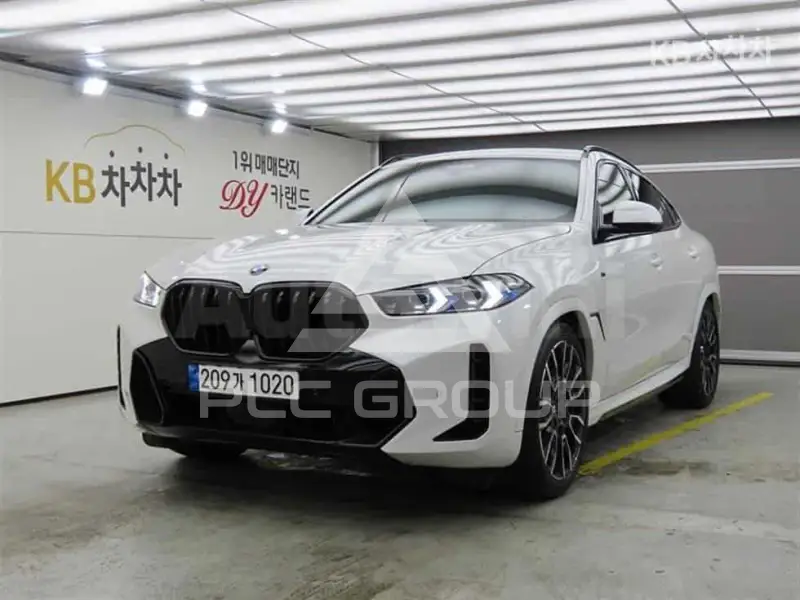 2024 BMW X6