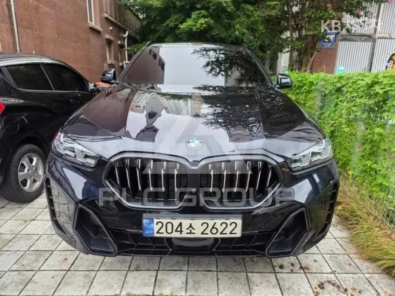 2024 BMW X6