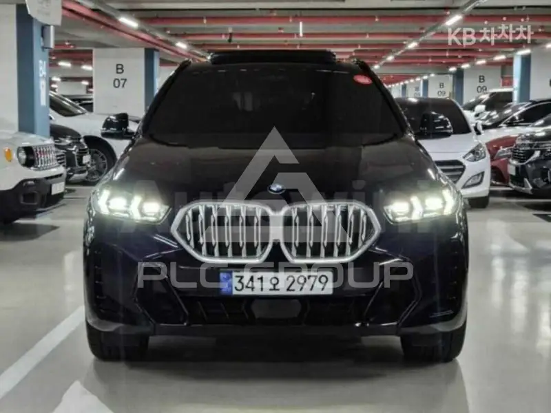 2024 BMW X6