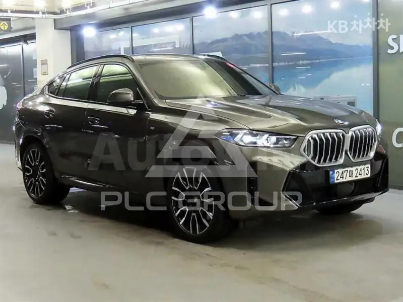 2024 BMW X6