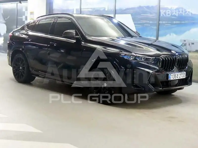 2024 BMW X6