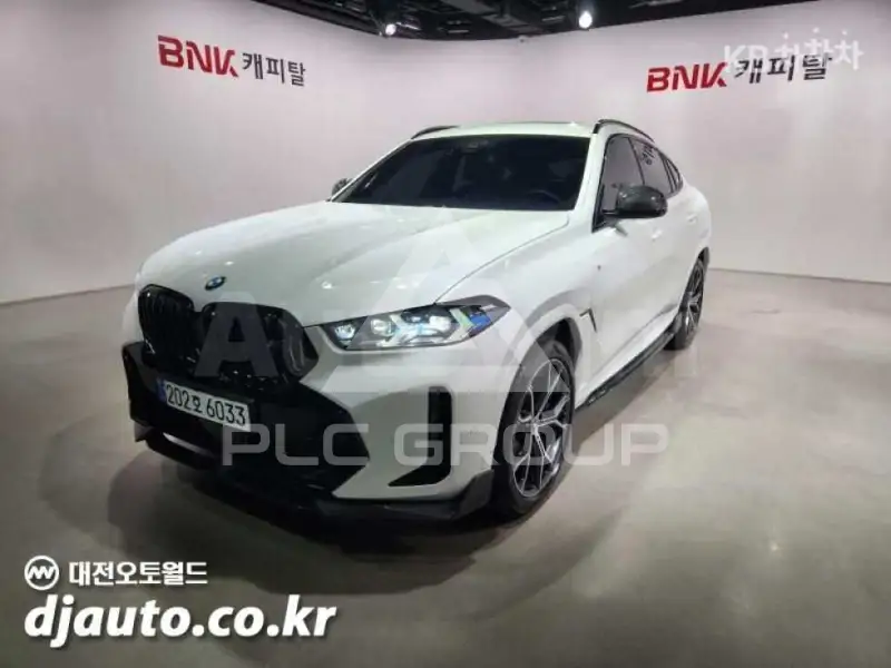 2024 BMW X6