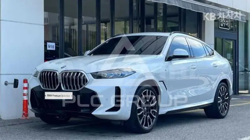 2024 BMW X6