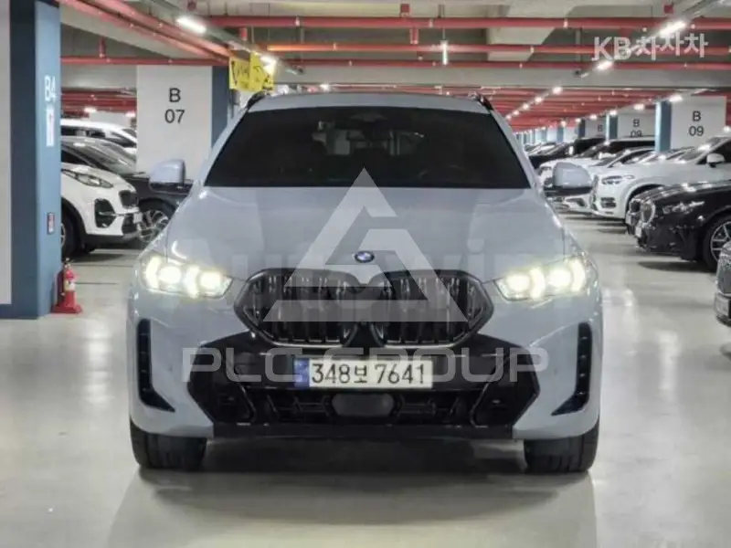 2024 BMW X6