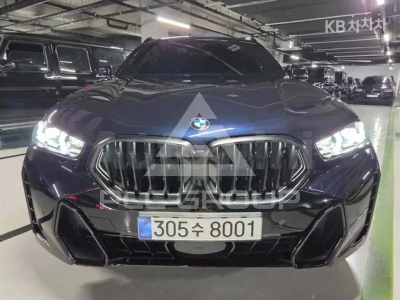 2024 BMW X6
